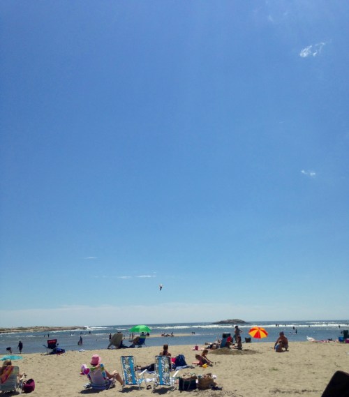 Perfect beach day at Popham