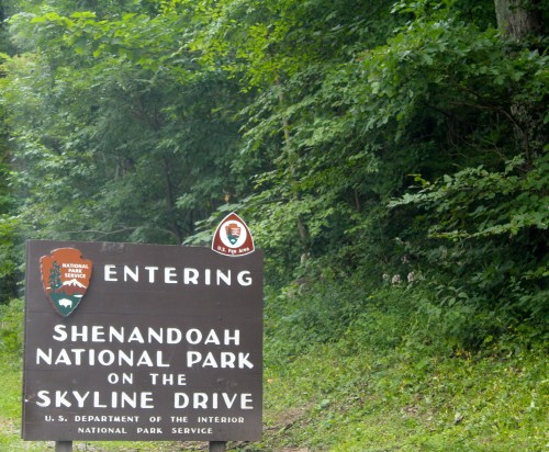 Day eight:  Shenandoah National Park's Skyline Drive. We hit a bear. Well, it hit us. We think it's okay. We're okay. Oh my. 